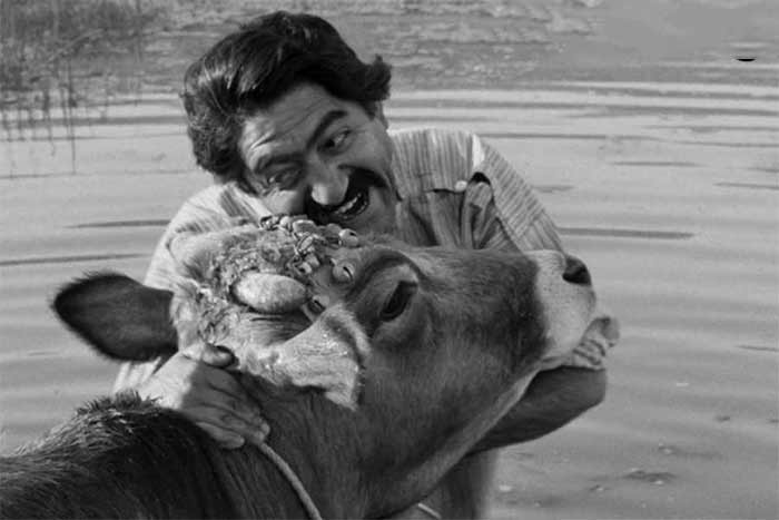 فیلم و سریال