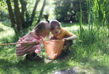 سرگرمی‌های مرتبط با طبیعت‌گردی: ۷ بازی هیجان‌انگیز برای کشف طبیعت