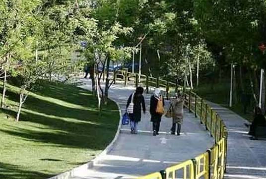 سفرو گردشگری پارک شاهد؛ فضای سبز مناسب برای شبگردی